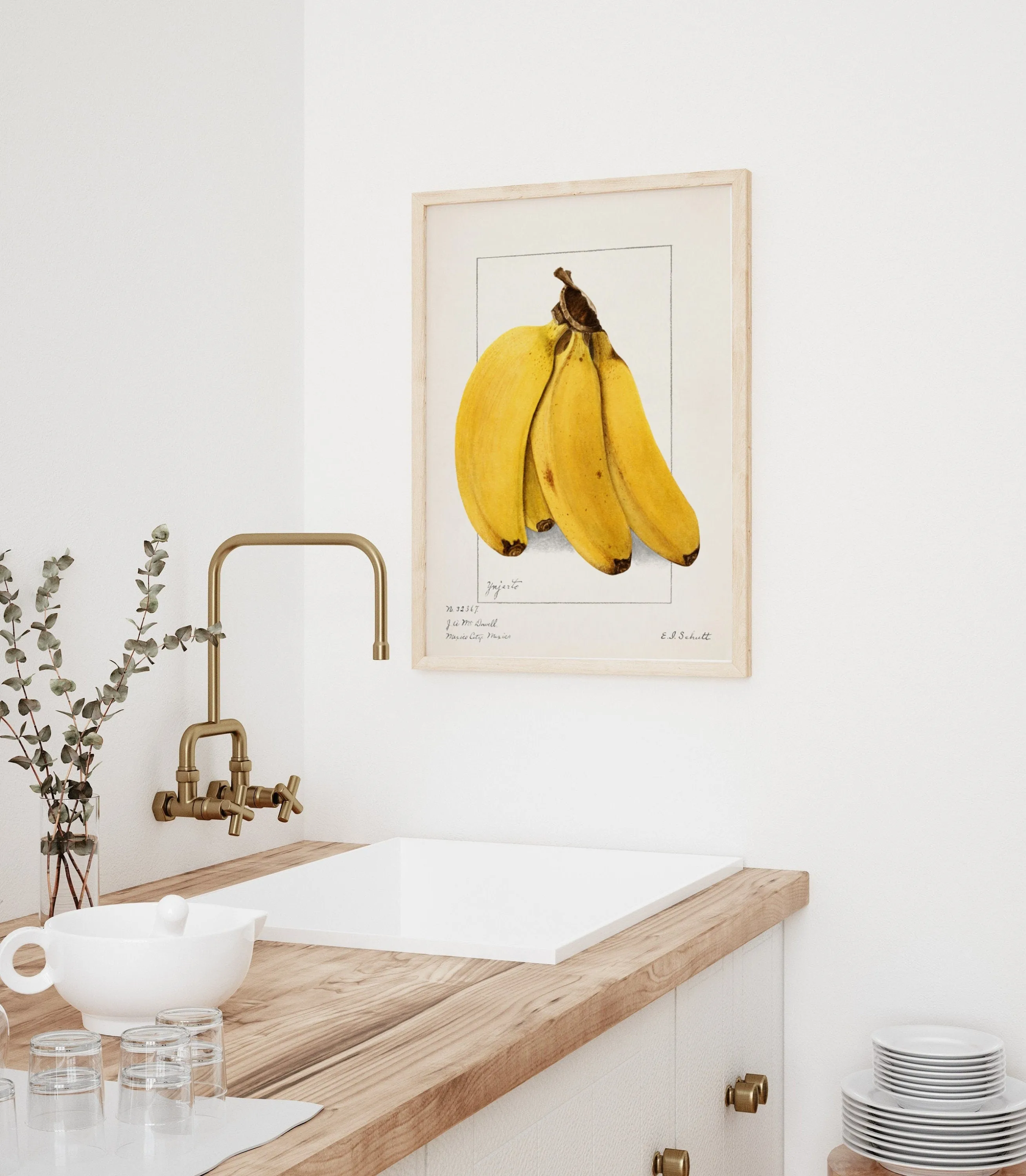 Banana Vintage Botanical Wall Art