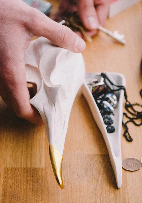 Bird Skull | JEWELLERY KEEPER