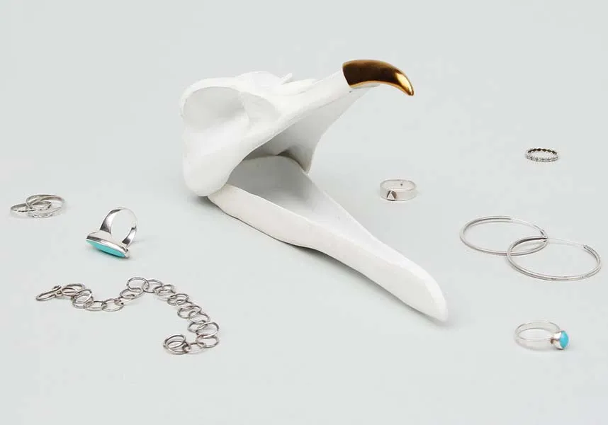Bird Skull | JEWELLERY KEEPER
