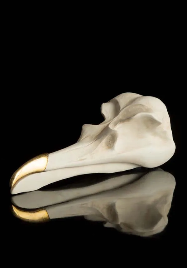 Bird Skull | JEWELLERY KEEPER