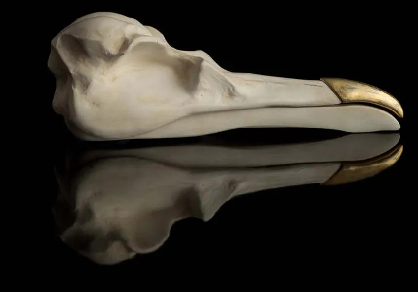 Bird Skull | JEWELLERY KEEPER