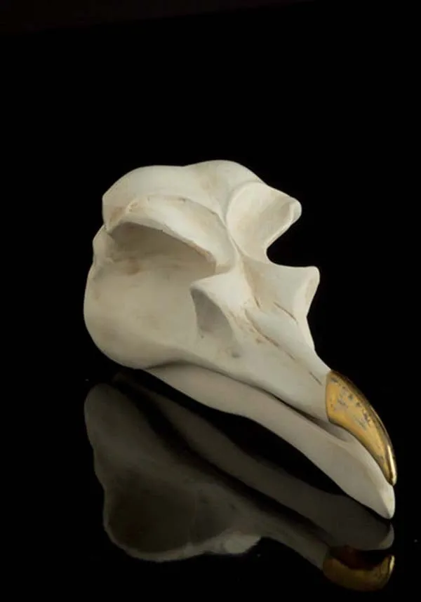 Bird Skull | JEWELLERY KEEPER
