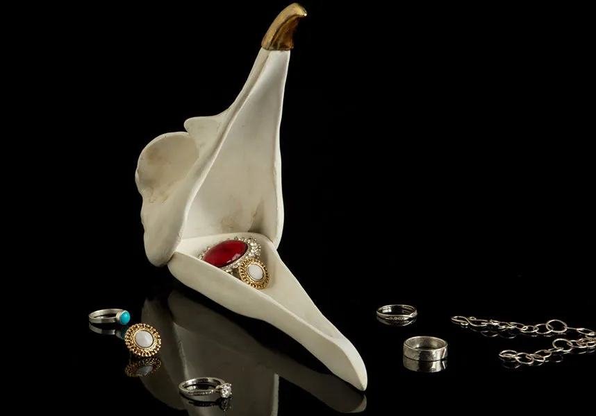 Bird Skull | JEWELLERY KEEPER