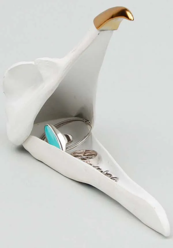 Bird Skull | JEWELLERY KEEPER
