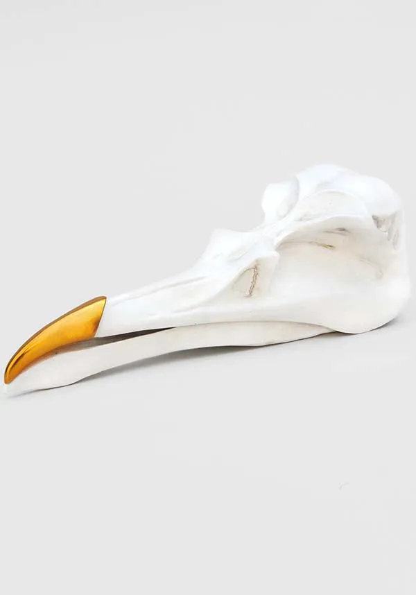 Bird Skull | JEWELLERY KEEPER