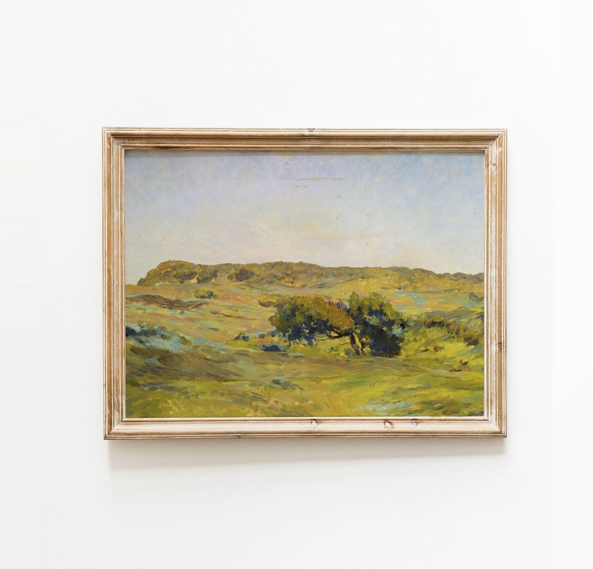 Dune Landscape