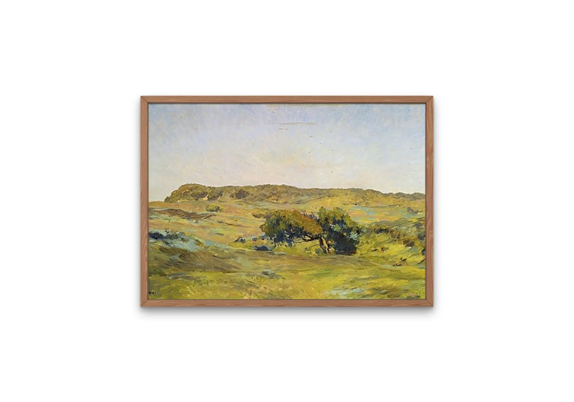 Dune Landscape