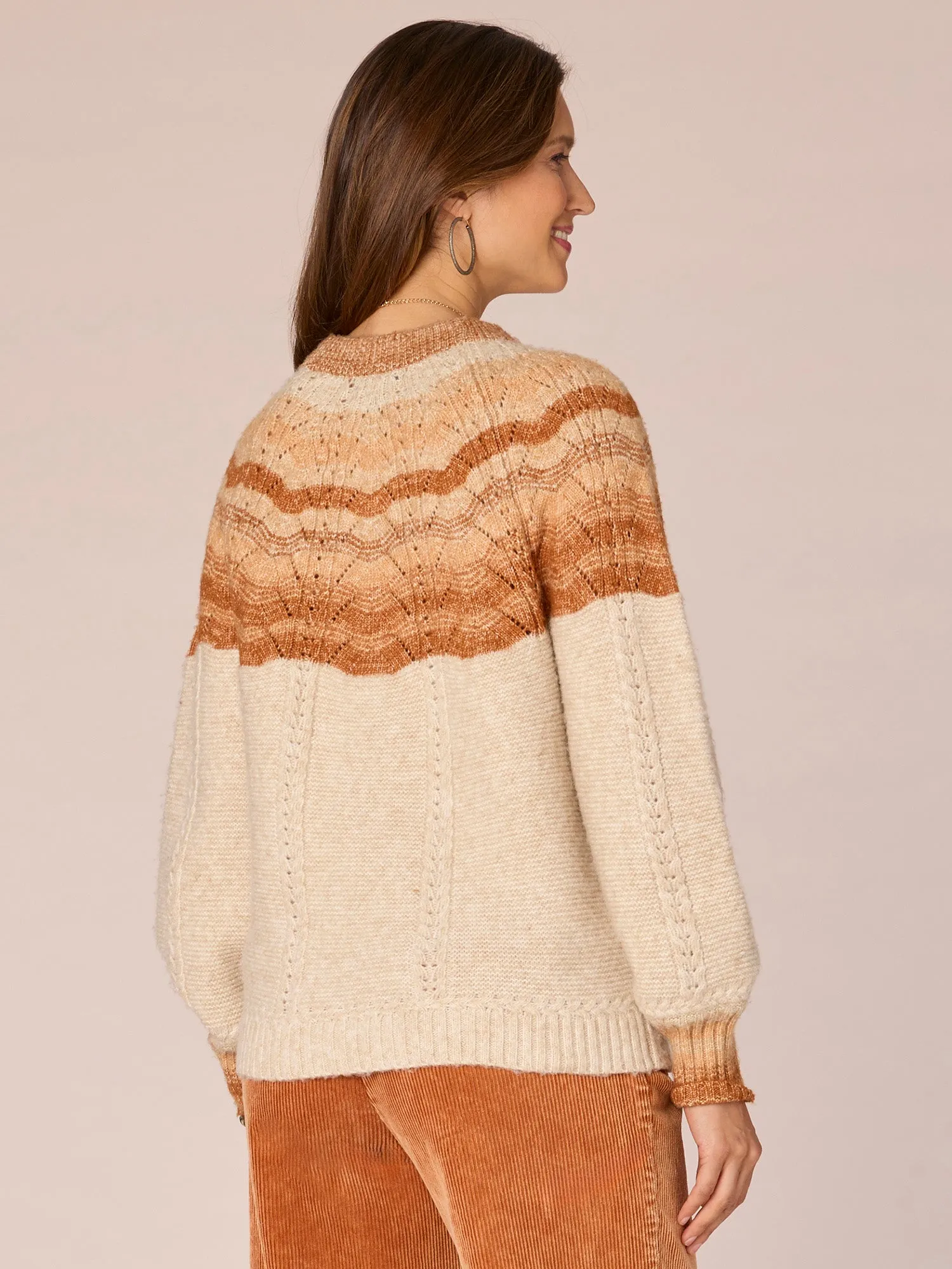 Long Blouson Sleeve High Round Neck Ombre Pointelle Stitch Sweater