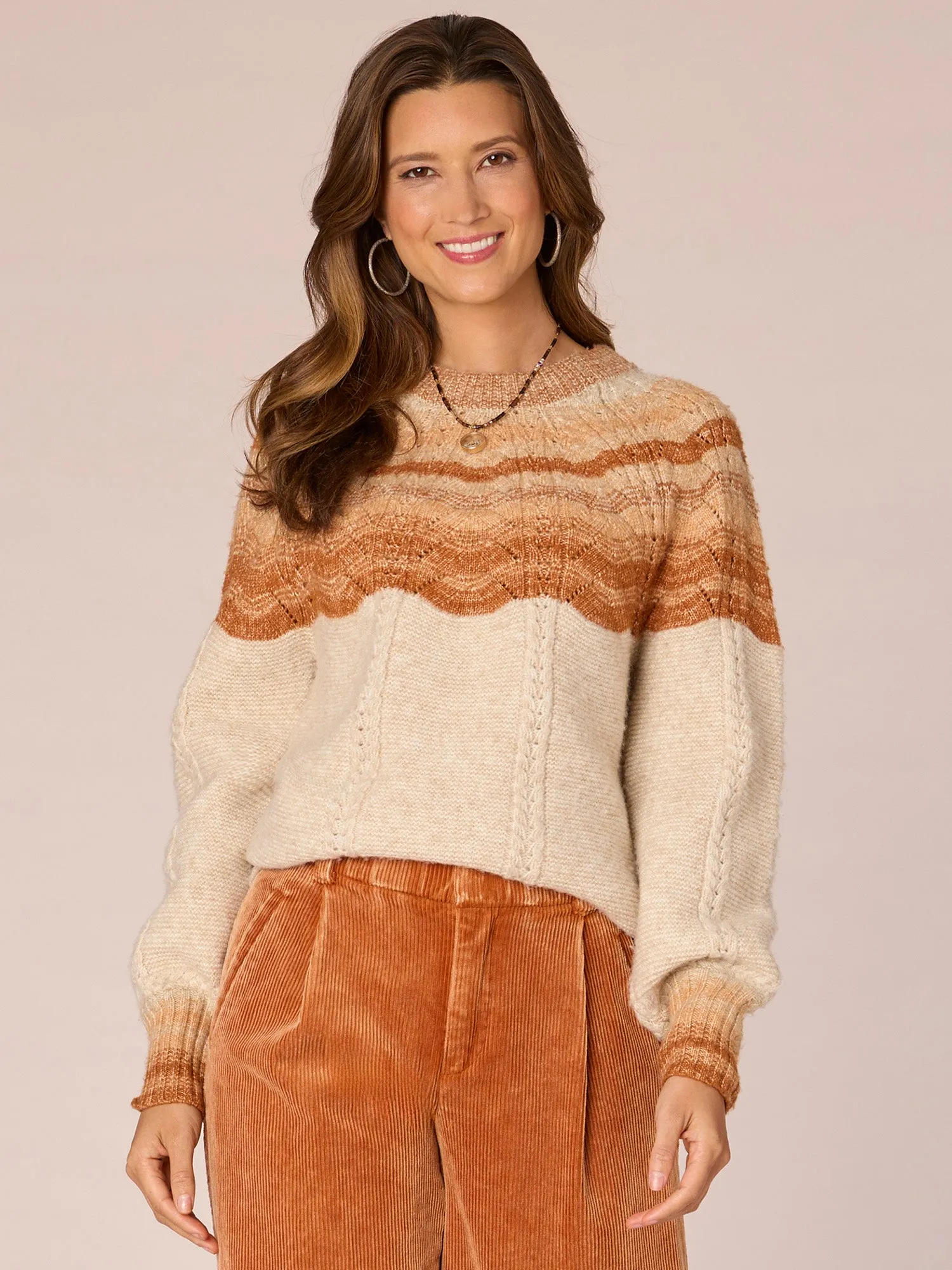 Long Blouson Sleeve High Round Neck Ombre Pointelle Stitch Sweater