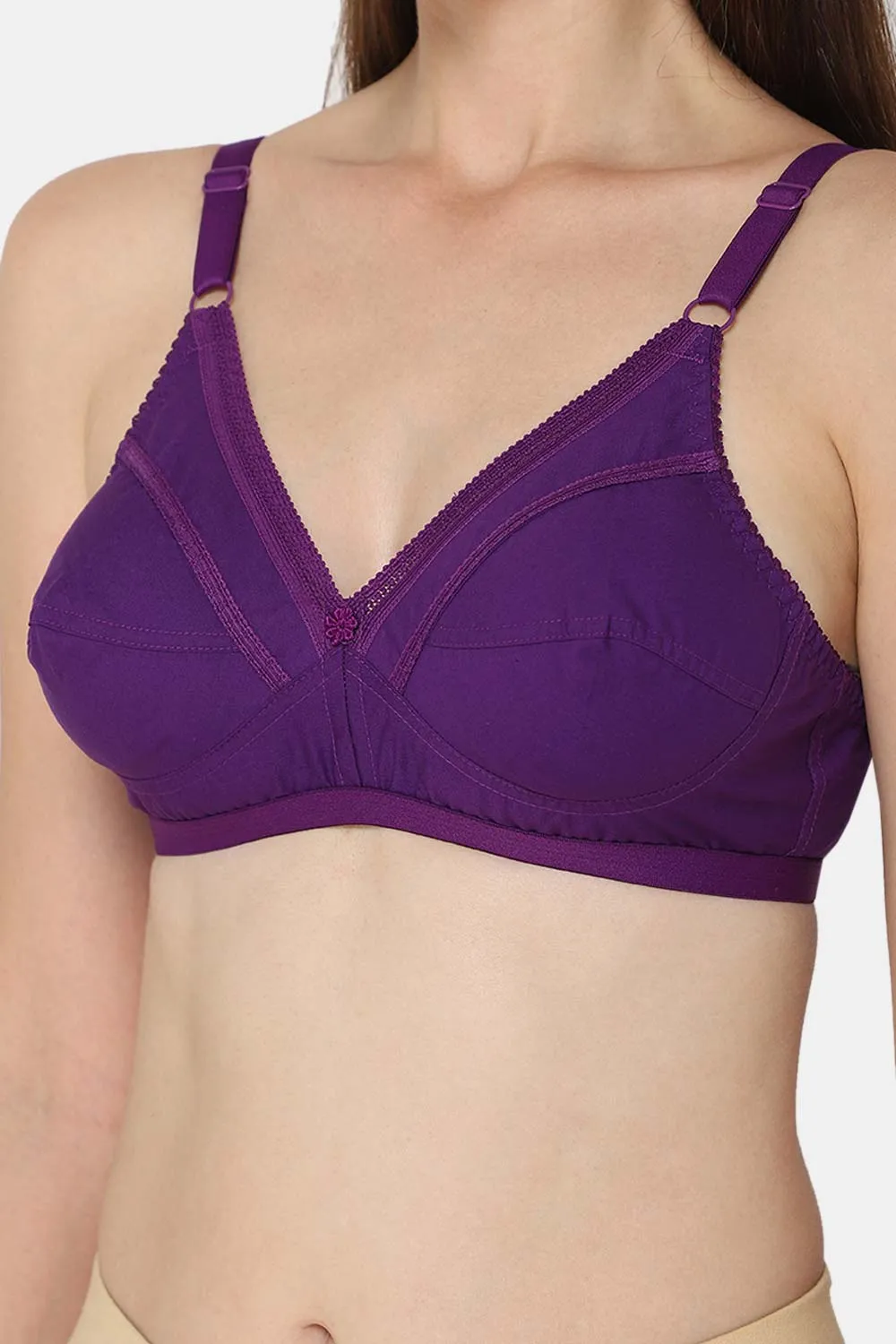 Medium Coverage Non-Padded Non-Wired Naidu Hall Saree Bra - Naturalle - Other Colors