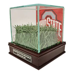 Ohio State Buckeyes Desktop Glass Display Case with a Piece of Authentic Ohio Stadium Turf