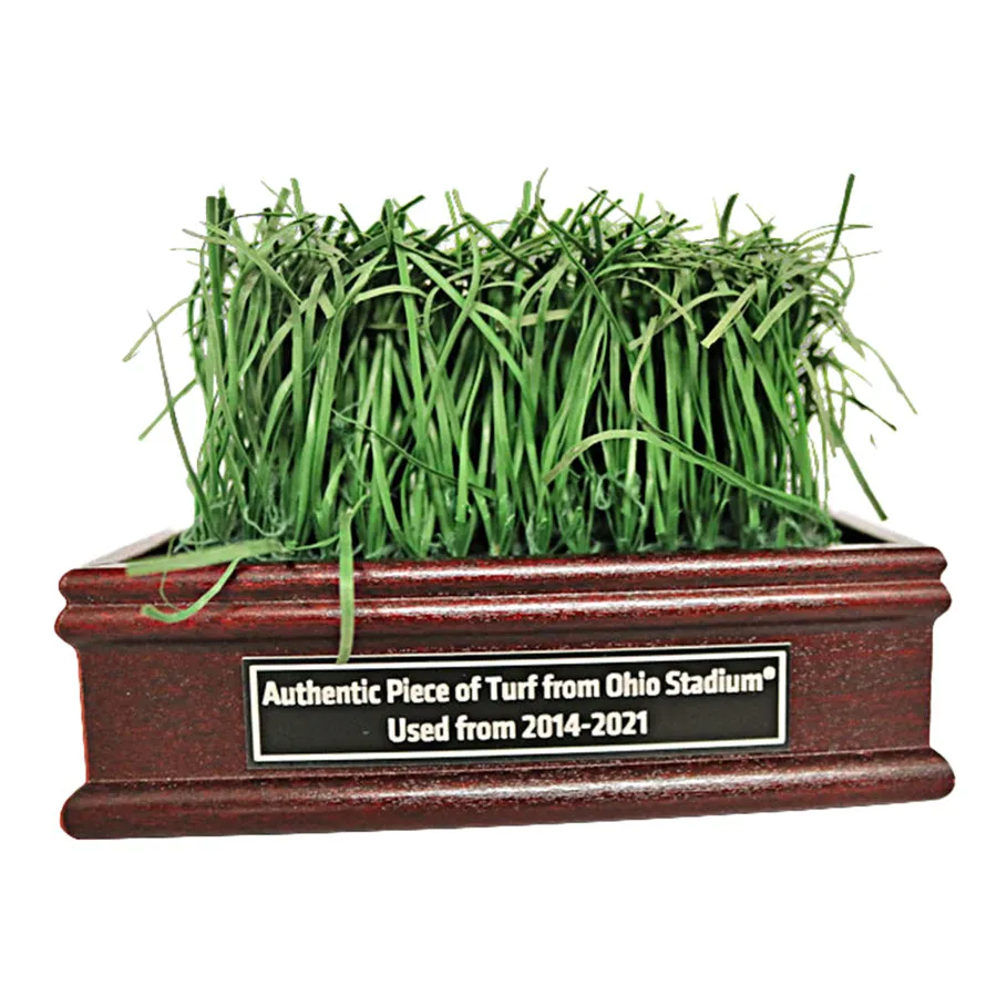 Ohio State Buckeyes Desktop Glass Display Case with a Piece of Authentic Ohio Stadium Turf