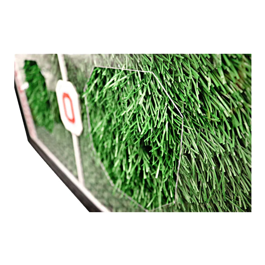 Ohio State Buckeyes Football Field Framed Collage with a Large Piece of Authentic Ohio Stadium Turf