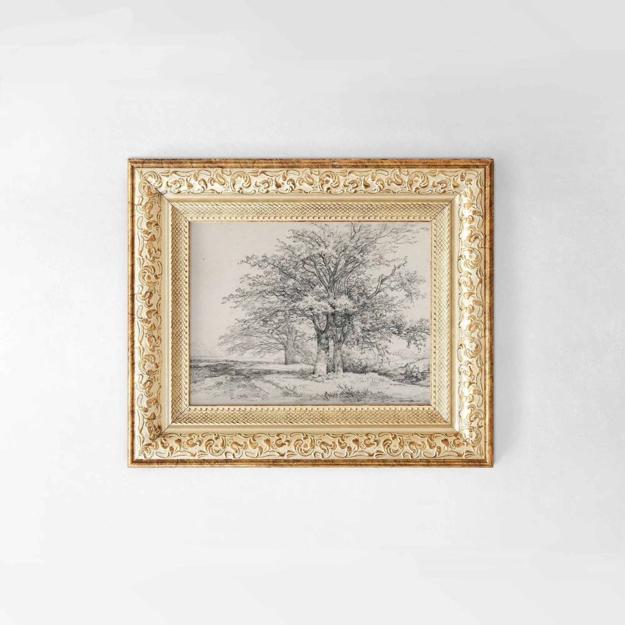 Vintage Tree Sketch Art Print